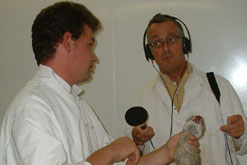 radio 4
